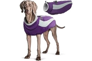Hjyokuso Manteau Chien, Manteau pour Chien Doublé et Chaud, Manteaux d'hiver pour Chiens avec Fermeture à Glissière, Manteau Chien Imperméable, Veste Chien pour Petit/Grand/Moyen Chiens - XS-XXXL