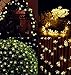 Produktbild Naisidier 50 LED Lichterkette 7 m Licht Solar Kette Kleeblatt Lampen von Blumen für Dekoration Weihnachten, Party, Hochzeit, Geburtstag, Haus, Garten, Spät Warmweiß