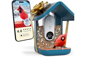 Birdbuddy PRO Solar Smart Bird Feeder mit Kamera – KI-Vogelartenidentifizierung, 5-MP-Fotos, 2K-HD-Video-Livestream-Kamera, Zeitlupenvideo, 2,6-Zoll-Fokus – Blue Solar