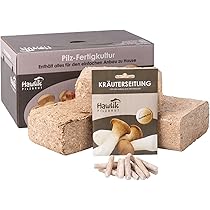 Kit Culture Champignons Pour Jardin – Capuchons Bruns (Stropharia), Substrat + Chevilles Mycélium, Pour Débutants
