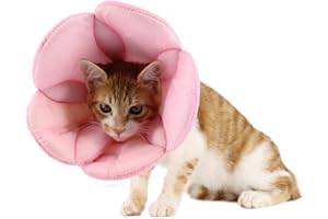 DELIFUR Pet E-Collar Elizabethan Collars Recovery Pet Cone for Cats and Small Dogs Breathable Soft Edge and Easy to Clean(L)