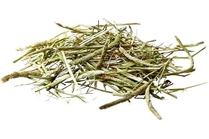 VERSELE LAGA Versele-laga - Fieno di Timo Verde Molto Fresco e Puro 1KG - VS-424191