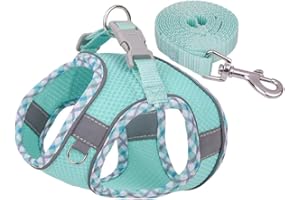 Mitili Arnes Perro Antitirones con Correa, Ajustable Transpirable Reflectantes Cómodo Chalecos Perro, Arnés Juego de Arnés y Correa para Perros y Gatos de Pequeño y Mediano (S, Raya Verde)