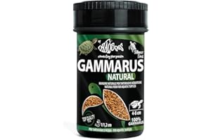 Haquoss Gammarus Mangime Naturale in Gamberetti Essiccati per Tartarughe Acquatiche, 100 ml/10 gr