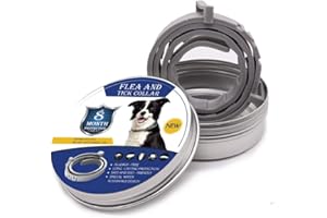 ALQFFHL Collier Anti-puces et Anti-tiques pour Chien et Chat,Traitement Anti Tique et Puce, Étanche pour,Taille Réglable, Protection 8 Mois,1 Paquet(Grand)