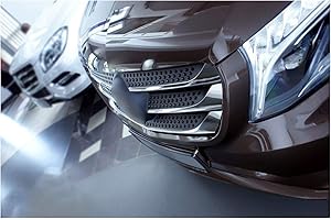 tuning-art 3308 Embellecedor de la Rejilla del radiador para Mercedes Vito 6 W447 Acero INOX