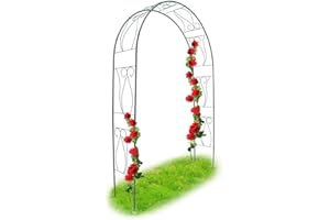 BAKAJI Arche De Jardin Support pour Roses Plantes Rampantes en Métal 153 x 35 x 233H cm Couleur Vert Foncé
