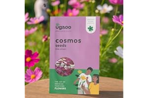 UGAOO Cosmos Flower Seeds (Purple and White, Pack of 100)