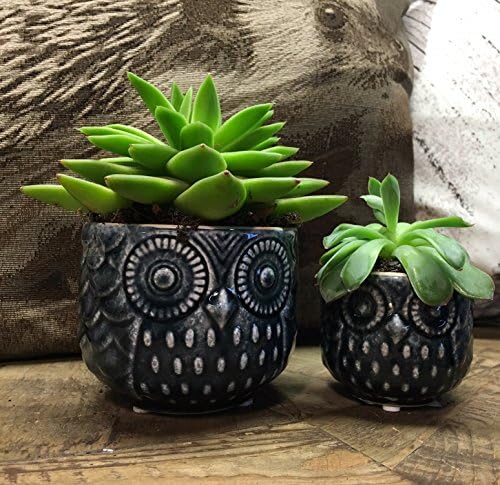 Set of 2 Cute Blue Ceramic Owl Bowl Pots, smaller size shown with Crackle Glaze Finish