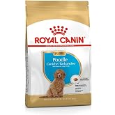 Royal Canin Poodle Puppy K&ouml;pek Maması 3 Kg
