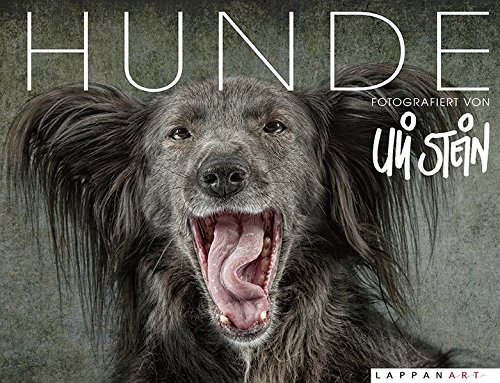 Download Hunde Download Hunde