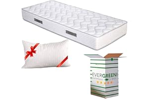 EVERGREENWEB MATERASSI & BEDS EVERGREENWEB Materasso Singolo 80x190 in Waterfoam Alto 20 cm con CUSCINO Memory Foam GRATIS, Ortopedico con DISPOSITIVO MEDICO, Rivestimento Effetto Massaggiante tessuto Antiacaro, per Reti e Letti