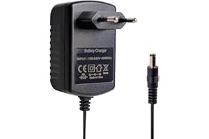 BNBBSC Universelles 6V 1A Ladegerät für Kinder-Elektroautos, Motorräder, SUVs und ATVs