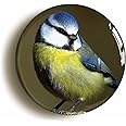 Ozorath BLUE TIT BIRD WATCHING BADGE BUTTON PIN (Size is 1inch/25mm diameter)