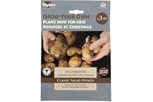 RAZZMATAZZ Taylors Bulbs - Winter Charlotte Seed Potato
