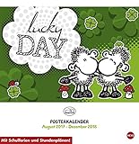 Image de sheepworld Posterkalender quadratisch - Kalender 2018: 17 Monate. Von August 2017 bis Dezember 2018.