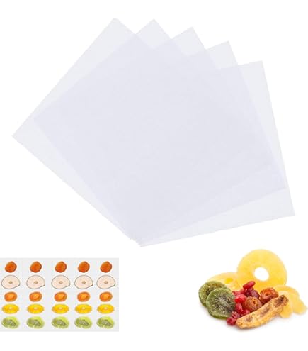 Aazon.co: 4 Pcs Silicone Food Dehydrator-Trays With Edge, 4 Pcs Esh