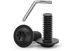 DAYALO 10 viti M8 x 20, viti a testa bombata Torx, viti a flangia, in acciaio inox A2 V2A, filettatura completa, ossido nero, con chiave Torx, 10 pezzi