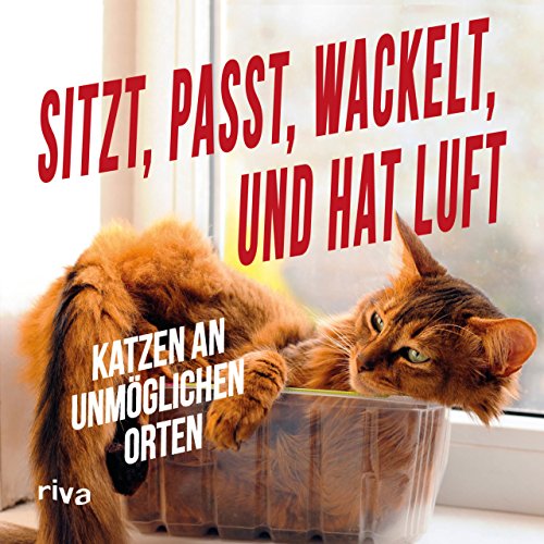Download Sitzt, passt, wackelt und hat Luft: Katzen an unmöglichen Orten Download Sitzt, passt, wackelt und hat Luft: Katzen an unmöglichen Orten