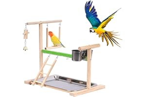 DWE Parrot Toys, Wooden Bird Playground Parrot Perch Stand with Tray Feeder Cup Ladder Swing Toys, Budgie Gym Playground Bird Cage Accessories for Conures Parakeet Cockatiel Parrots (C)