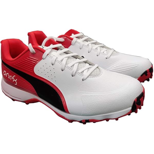 virat kohli sports shoes