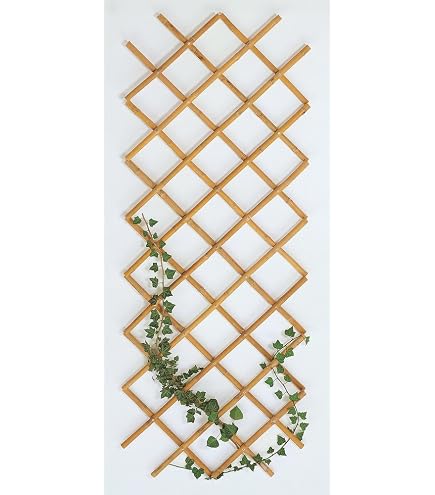 Griglia Da Giardino In Bambù 70x180 Cm - Traliccio Per Piante Rampicanti, Naturale, Regolabile, Per Privacy E Decorazione