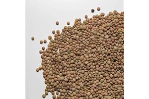 IL CONTADINO - ANTICHI SAPORI LENTICCHIE ITALIA | Il Contadino | Legumi Secchi (400g)