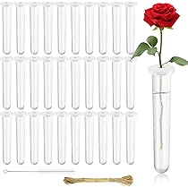 Fyihoxi 30 Pezzi Fiore Tubi di Plastica,Tubo di Fiori Riutilizzabili,Tubi di Prova in Plastica Trasparente,Tubi di Acqua Tubi Floreali per Fiori con Tappi per Piante Di Disposizione Floreale