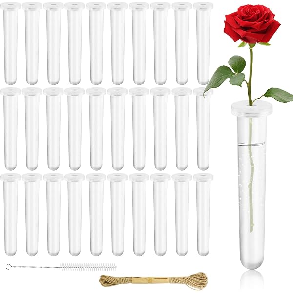 32er-Set Reagenzgläser Für Blumen – 24x11 Cm, Transparent Mit Deckel, Inkl. Juteschnur, Bürste Und Etiketten – Für Florale Deko Und Hydrokultur