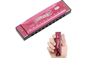 EXINBEICHUAN Rose Red Blues Harmonica Key of C – 10 Hole Diatonic Mouth Organ for Beginners & Kids – Stainless Steel Cover, Portable Music Instrument Gift for Adults & Learners