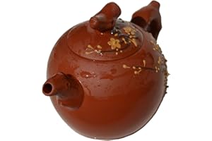 YXHUPOT Théière 255,1 g - Infuseur à thé chinois Gongfu en argile rouge pour thé en vrac