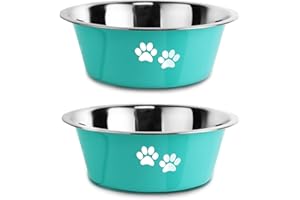 SUOXU Comederos para Perros de Acero Inoxidable de 2 Piezas (Verde-1560ML) con Base de Goma Antideslizante, a Prueba de derrames, para Perros de Razas Grandes, Medianas y pequeñas