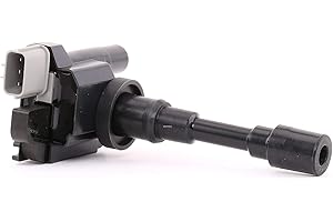 DELPHI Ignition Coil 12 V Ignition System GN10318-12B1