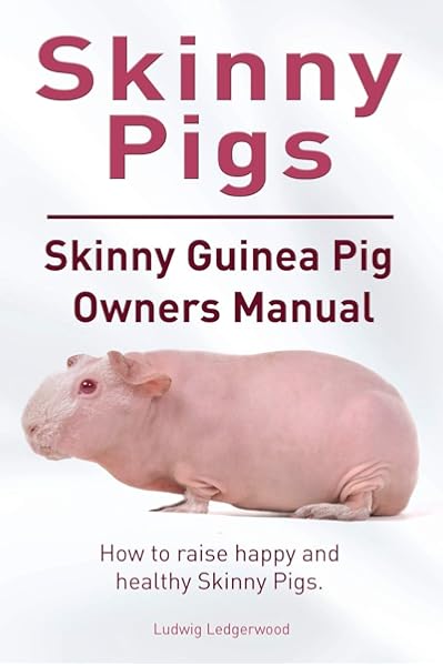 skinny pig care guide