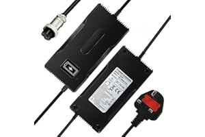 YZPOWER Electric Motorcycle Charger 67.2V 4A, For 16S 60V Lithium Battery Pack, Electrical Motorbike Charger 60V, With GX16 (12mm) 3 Pin Plug, 60 Volt Charger