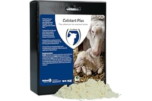 HOLLAND ANIMAL CARE Excellent Colstart Plus 10x25 g - Corderos - Sustitución de calostro - Calostro en Polvo para corderos