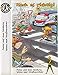 Produktbild Mach es richtig! - Autos auf dem Schulweg / Spielen und Straßenverkehr (Verkehrsregeln und Tips zum Straßenverkehr für Kinder. Mit Uli, dem Fehlerteufel)