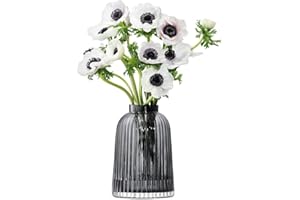LSA INTERNATIONAL LSA Pleat Vase H20cm Grey| 1 Unit | Mouthblown & Handmade Glass | PT03