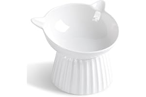 WELLBRO Raised Tilted Cat Bowl, Ceramic Elevated Anti-Vomiting & Whisker Friendly Kitten Food Bowl (White)