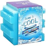 OICEPACK Blocs congélateurs pour Sacs isothermes C Un Cube de Glace réutilisable de Longue durée pour Les paniers Repas pour Enfants Mini congélateurs et Gel Bleu Clair (6puzzle)