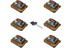 PIEDRASAR PIEDRAS PARA ASAR Piedra Volcánica para Asar Carne a la Piedra de 13x20- Promocion 6 sets completos Personalizados Modelo Mussol