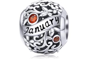 Lorrifal Month 925 Sterling Silver Original Birthstone Charms fit Pandora Bracelets Necklace Perfect Jewelry Birthday Loved Beads Gift for Women Girls Mom Daughter