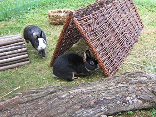 Beeteinfassung BAUERNGARTEN 120×60 aus Weide - 6