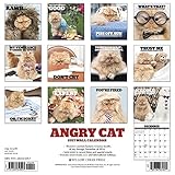 Image de Angry Cat 2017 Calendar