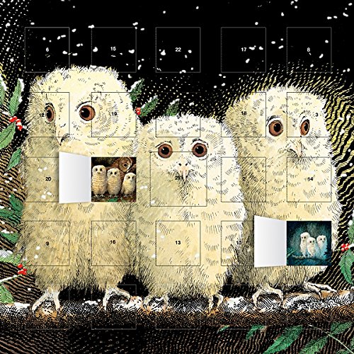 Télécharger Calendrier de l'Avent - Noël - CHOUETTE - oiseau - FORMAT 30X30cm + offert un agenda de poche 2019 livre En ligne