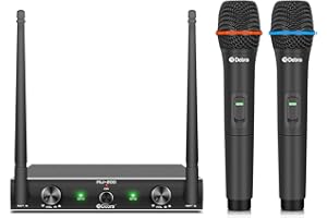 D Debra Audio AU200 Pro UHF - Sistema di microfoni wireless a 2 canali con microfono Lavalier portatile senza fili, ricevitore in metallo, ideale per karaoke e feste in chiesa (2 palmari)