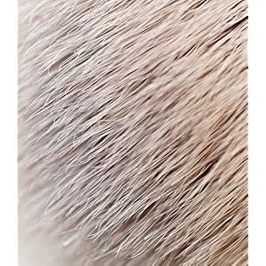 Kent Infinity Synthetic Shaving Brush - Image 6