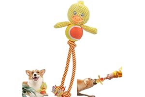 JWTEEE Hundespielzeug Welpenspielzeug mit Kauseil, Anti Stress Ente für Hunde - Quietschendes Hundespielzeug für kleine Hunde - Interaktives Ball für drinnen und draußen - Naturbaumwolle