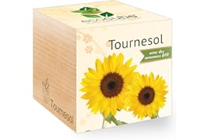 Feel Green Ecocube Tournesol Certifiées Bio, Idée Cadeau (100% Ecologique), Grow-Your--Own/Kit Prêt-à-Pousser, Plantes Dans Des Cubes En Bois 7.5cm, Produit En Autriche