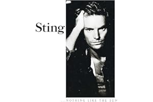 Nothing Like the Sun